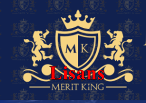 Meritking lisans